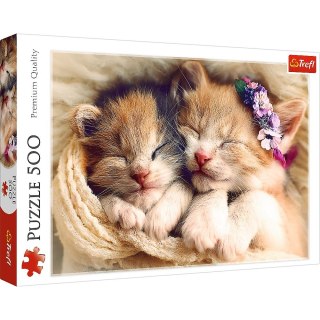 Puzzle Śpiące kotki 500 el. Trefl (37271)