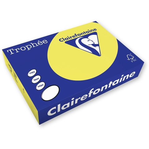 Papier kolorowy Trophee kolorowy A4 - żółty 160g (xca41023)