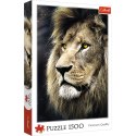 Puzzle Portret lwa 1500 el. Trefl (26139)