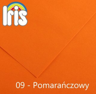 Brystol Iris 09 B1 pomarańczowy 240g 25k [mm:] 700x1000 Canson (200040448)