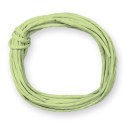 Sznurek Craft-Fun Series papierowy jasnozielony 5m Titanum (G40)