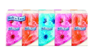 Chusteczki higieniczne 10x10 10 szt Soft And Eeasy