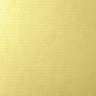 Papier ozdobny (wizytówkowy) A4 kremowy 246g Protos