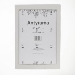 Antyrama M-interio plexi 400mm x 600mm (AR40x60)