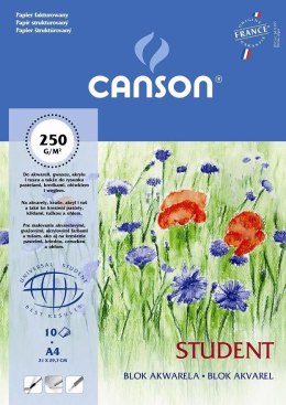 Blok artystyczny Canson Student A4 250g 10k 210mm x 297mm (200005506)