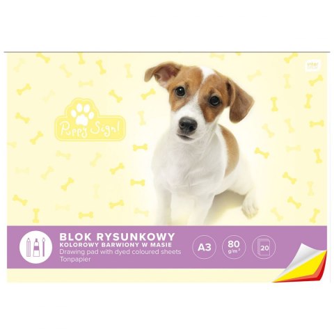 Blok rysunkowy A3 kolorowy 60g 20k [mm:] 420x297 Interdruk (BLRA3K)