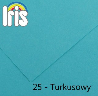 Brystol Iris 25 B1 turkusowy 240g 25k [mm:] 700x1000 Canson (200040464)