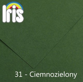 Brystol Iris 31 A3 zielony ciemny 185g 50k [mm:] 297x420 Canson (200040210)