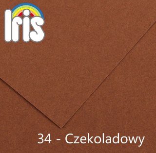 Brystol Iris 34 B1 czekoladowy 240g 25k [mm:] 700x1000 Canson (200040473)