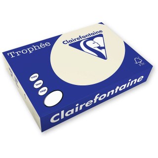 Papier kolorowy kolorowy A4 piaskowy 500k. 160g Trophee (xca41101)