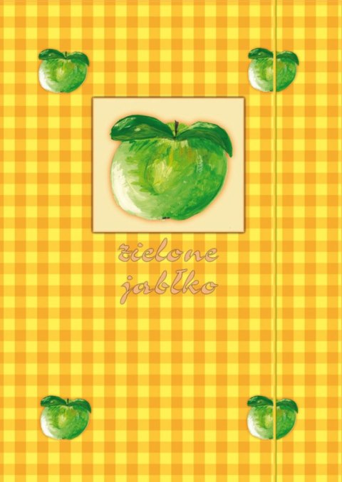 Teczka kartonowa na gumkę A4 mix Kreska