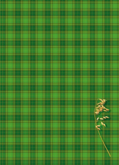 Teczka kartonowa na gumkę A4 mix Kreska