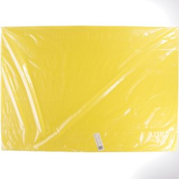 Brystol żółty słoneczny 230g 10k 700mm x 1000mm