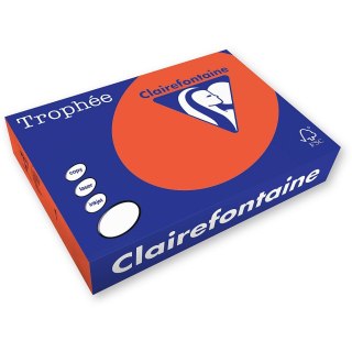 Papier kolorowy kolorowy A4 czerwony kardynalski 250k. 80g Trophee (xca41873)