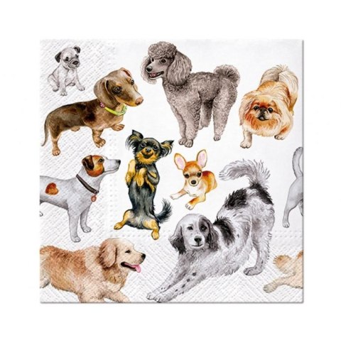 Serwetki Paw Lunch Dogs Happiness - mix nadruk 330mm x 330mm (SDL132600)