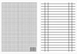 Liniuszek Interdruk A4