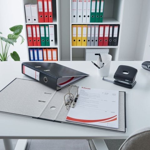 Segregator dźwigniowy Ekonomiczny A4 75mm czerwony Esselte (11253)