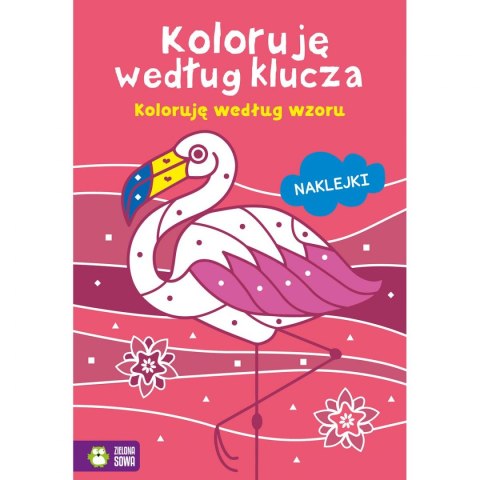 Książeczka edukacyjna Zielona Sowa Koloruję według klucza. Koloruję według wzoru