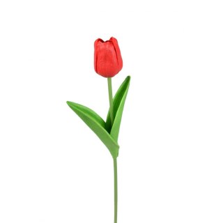 Kwiaty tulipan 30cm Arpex (VC5982)