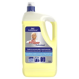 Płyn do podłóg Mr. Proper Professional 5000ml (1001000165)