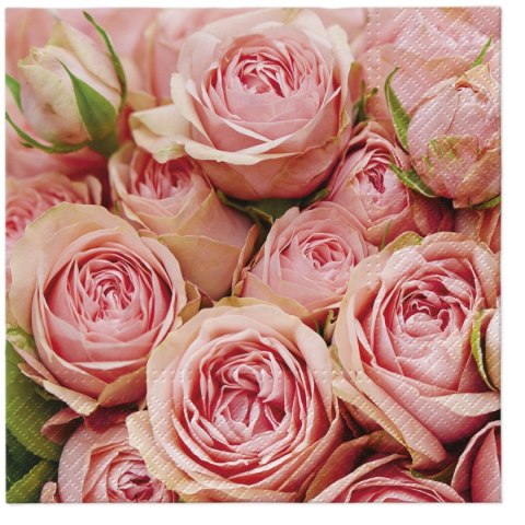 Serwetki Paw Lots of Roses - miks 330mm x 330mm (TL120300)