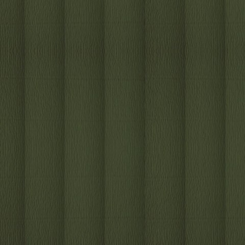 Bibuła marszczona oliwkowy 2000mm x 500mm TOP-2000 (400153922)