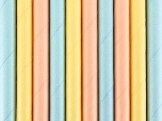 Słomka Summer time (1 op. / 10 szt.) 10 szt Partydeco (SPP10)