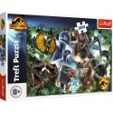 Puzzle Trefl 300 el. (23013)