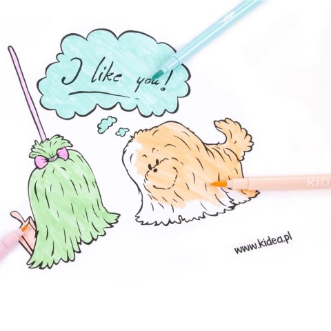 Flamaster Pastel 6 kol. Kidea (FDPBB6KA)