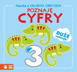 Książeczka edukacyjna Zielona Sowa Nauka z grubym obrysem. Poznaję cyfry