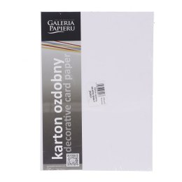 Papier ozdobny (wizytówkowy) Galeria Papieru gładki A4 - biały 200g (202831)