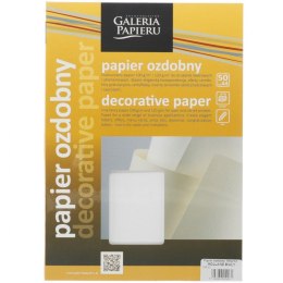 Papier ozdobny (wizytówkowy) Galeria Papieru holland A4 - biały 100g (206301)