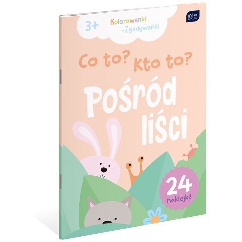 Kolorowanka CO TO ? KTO TO? A4 16 z naklejkami Interdruk (5902277312112)