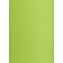 Brystol A1 jasnozielony 160g 25k [mm:] 610x860 TOP-2000 (400149557)