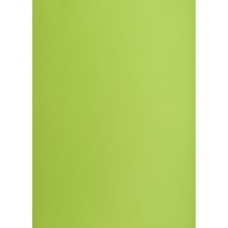 Brystol A1 jasnozielony 160g 25k [mm:] 610x860 TOP-2000 (400149557)