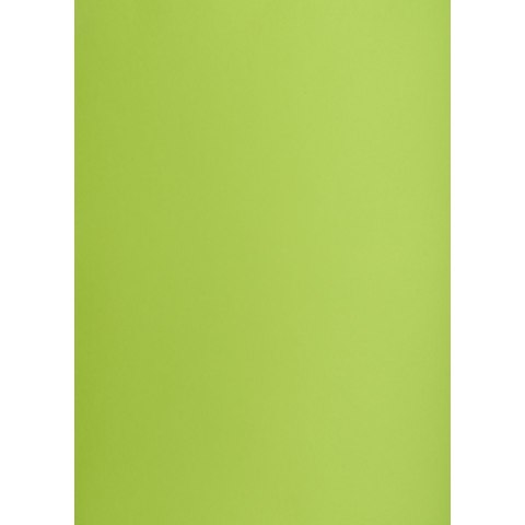 Brystol A1 jasnozielony 160g 25k [mm:] 610x860 TOP-2000 (400149557)