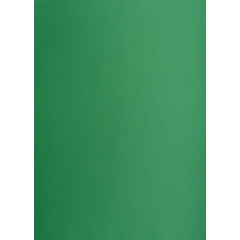 Brystol A1 ciemnozielony 160g [mm:] 610x860 Creatinio (400149561)