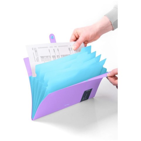 Teczka z przegródkami A4 kolor: fioletowy Berlingo (4260709080369)