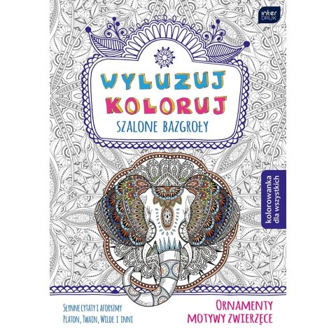 Kolorowanka Wyluzuj Koloruj Szalone bazgroły Interdruk (MAB5WYL)
