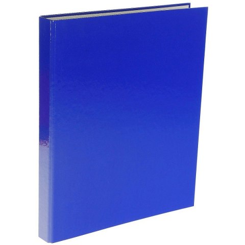 Segregator ringowy 2 KÓŁKA 25mm FCK A4 25mm niebieski VauPe (066/03)