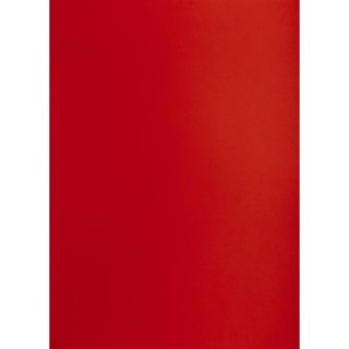 Brystol CZERONY CIEMNY B1 czerwony ciemny 225g 25k Creatinio (400150263)
