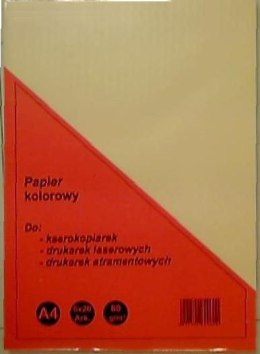 Papier kolorowy Rogatin A4 - mix 80g