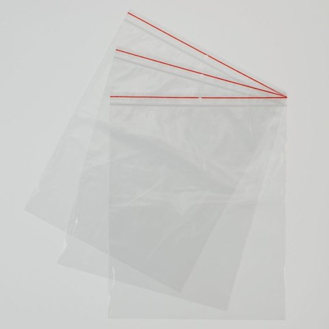 Worki strunowe 100 szt [mm:] 250x300 Gabi-Plast