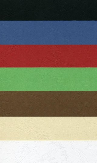 Karton do bindowania delta A4 czarny 250g Argo (407021)