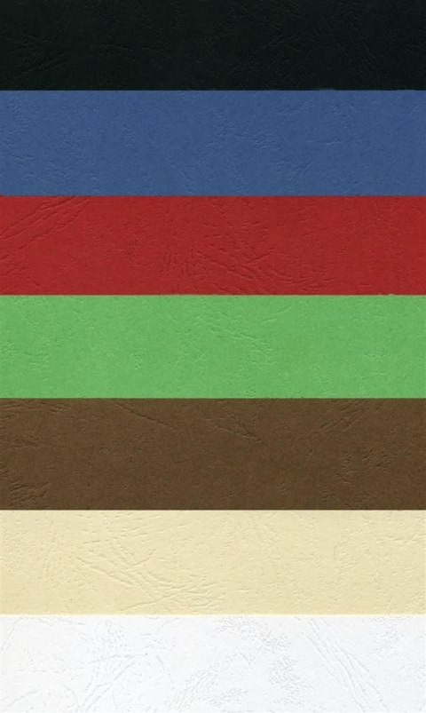 Karton do bindowania delta A4 czarny 250g Argo (407021)