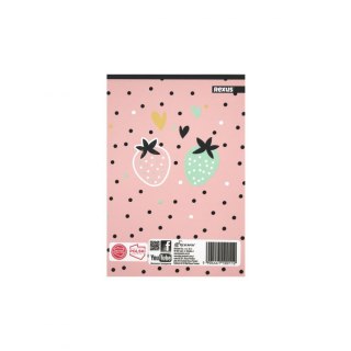 Notes (notatnik) dziewczynka A6 30k. [mm:] 102x148 Rexus