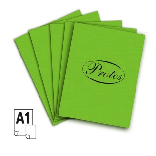 Brystol A1 A1 zielony jasny 160-180g 20k [mm:] 610x860 Protos
