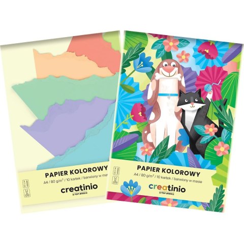 Papier kolorowy Creatinio A4 mix 80g Top 2000 (400176684)
