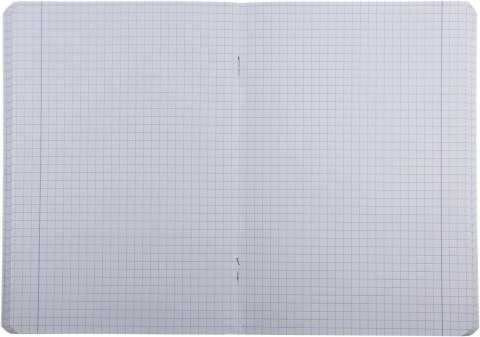 Zeszyt PAINT A5 60k. krata Oxford (400170245)