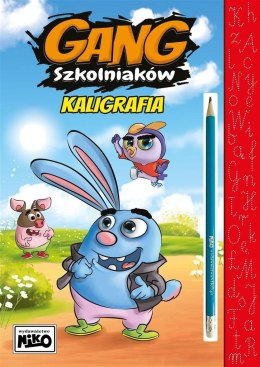 Książeczka edukacyjna Niko Gang Szkolniaków. kALIGRAFIA